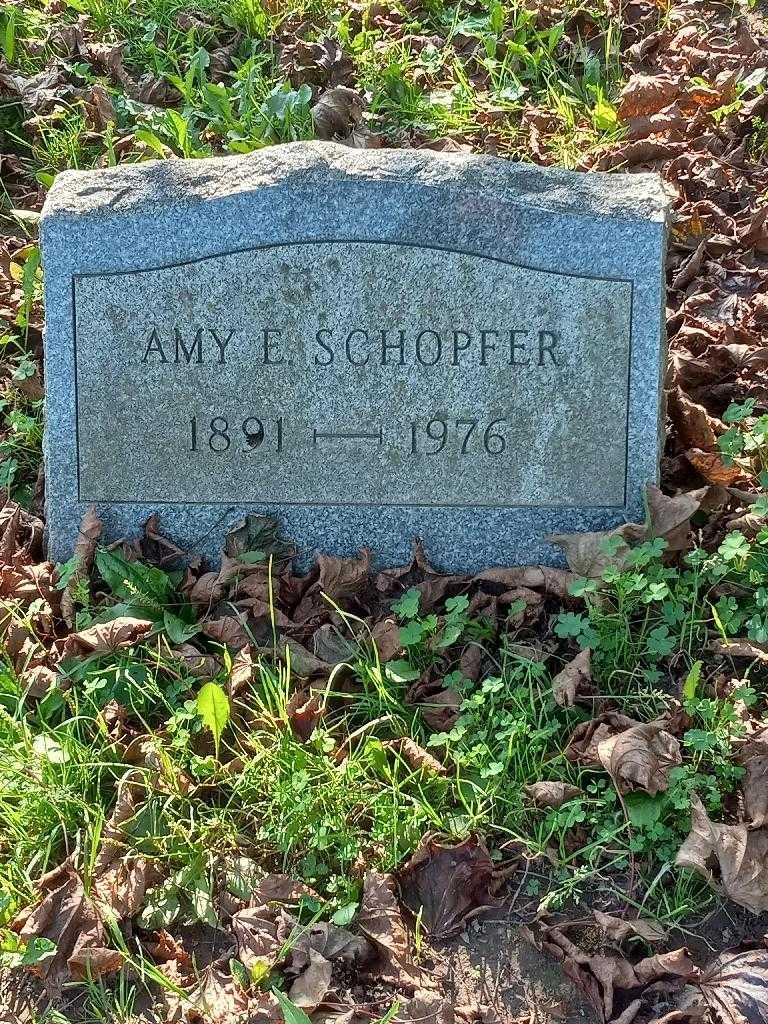 Amy E. Schopfer's grave. Photo 3