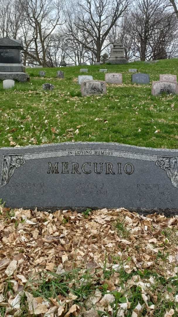 Robert M. Mercurio's grave. Photo 3