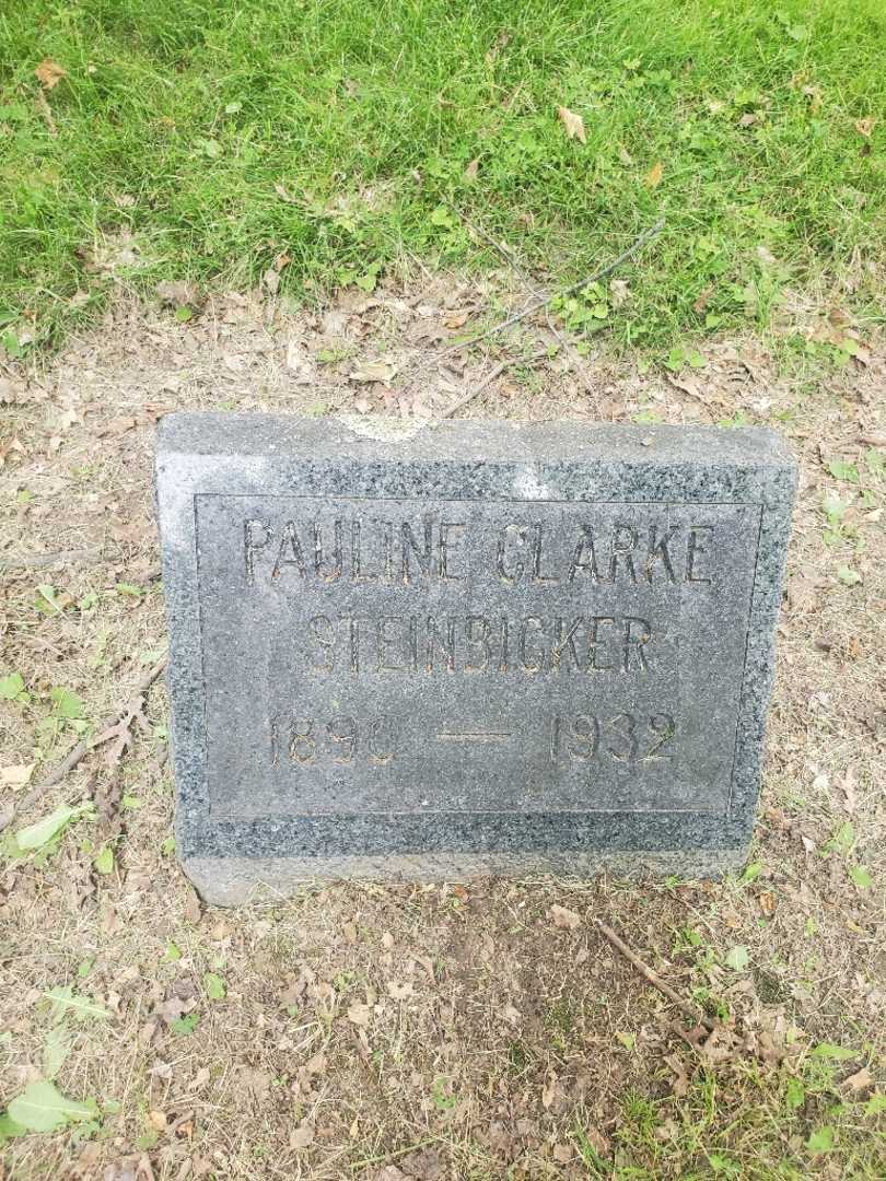 Pauline Steinbicker Clarke's grave. Photo 3