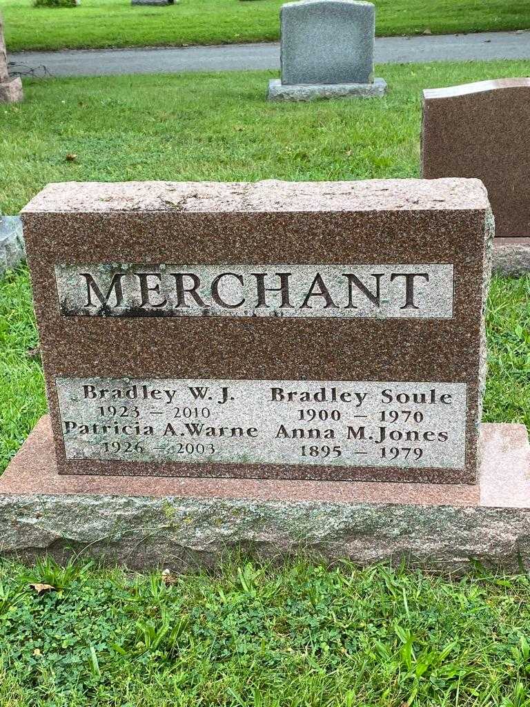 Patricia A. Merchant Warne's grave. Photo 3