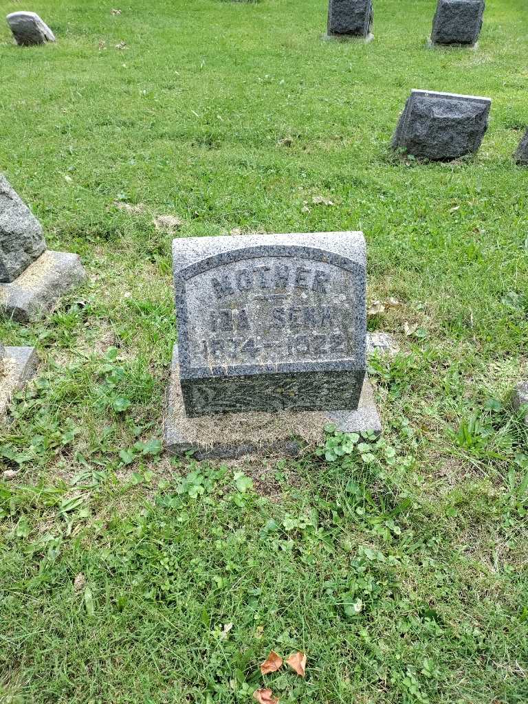 Ida K. Senk's grave. Photo 3