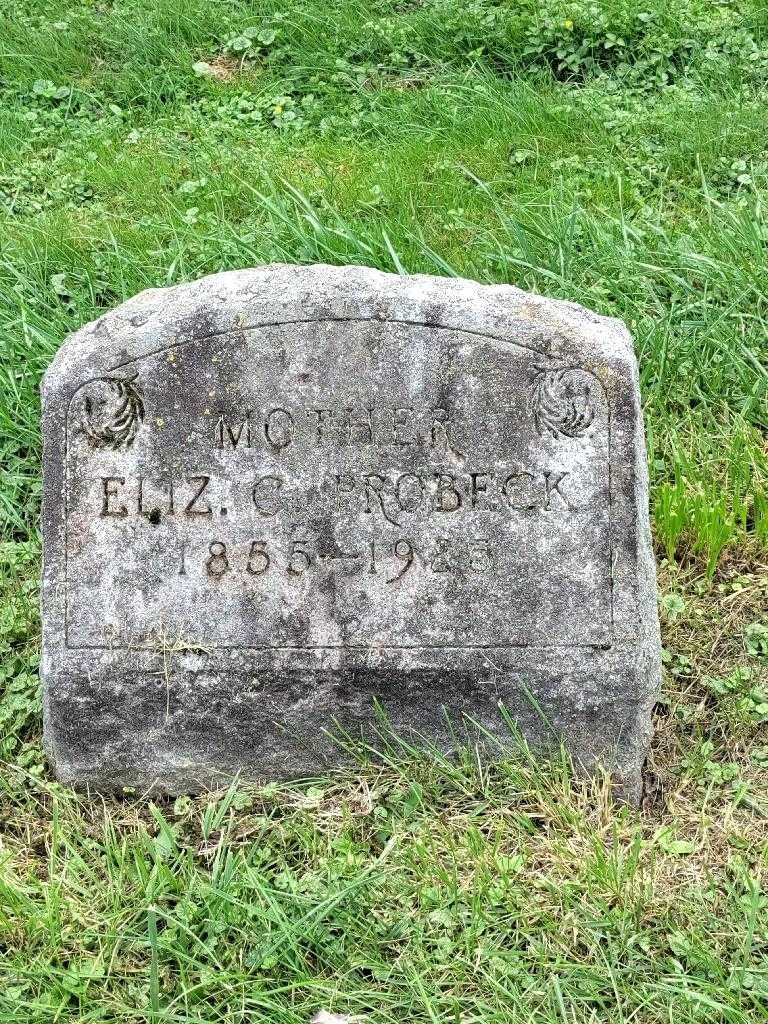 Elizabeth Catherine Probeck's grave. Photo 3