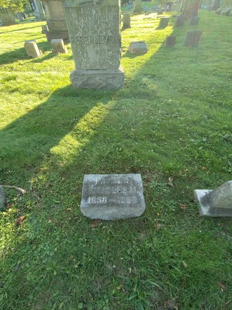 Charles M. Fesenmeyer's grave. Photo 1