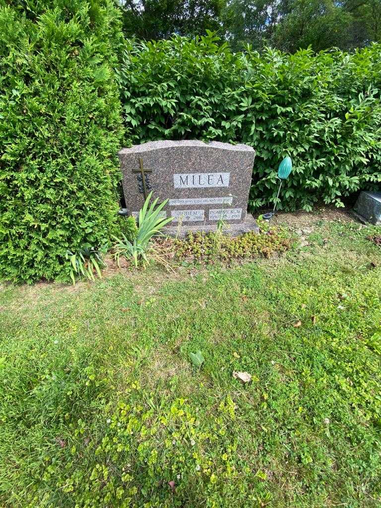 Dominick Milea Senior's grave. Photo 1