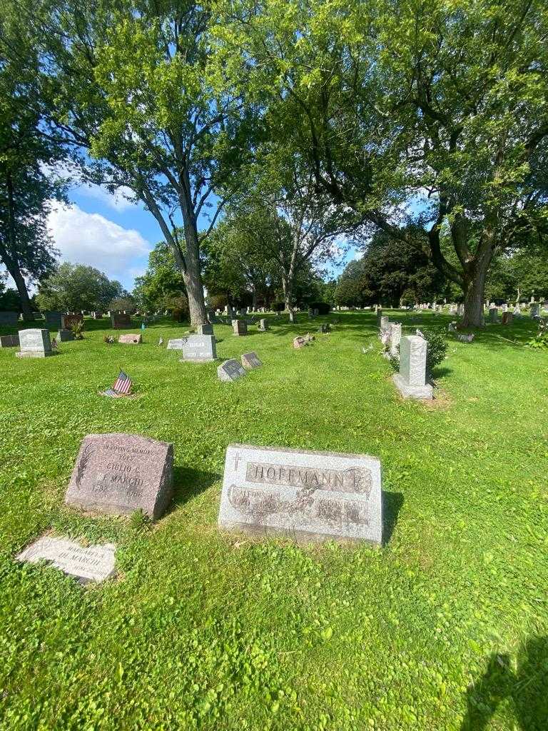 Alfons J. Hoffmann's grave. Photo 1