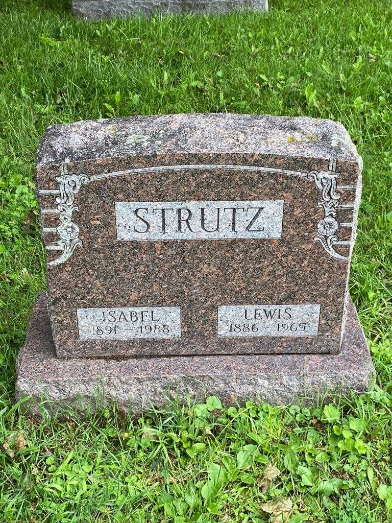Lewis Strutz's grave. Photo 3