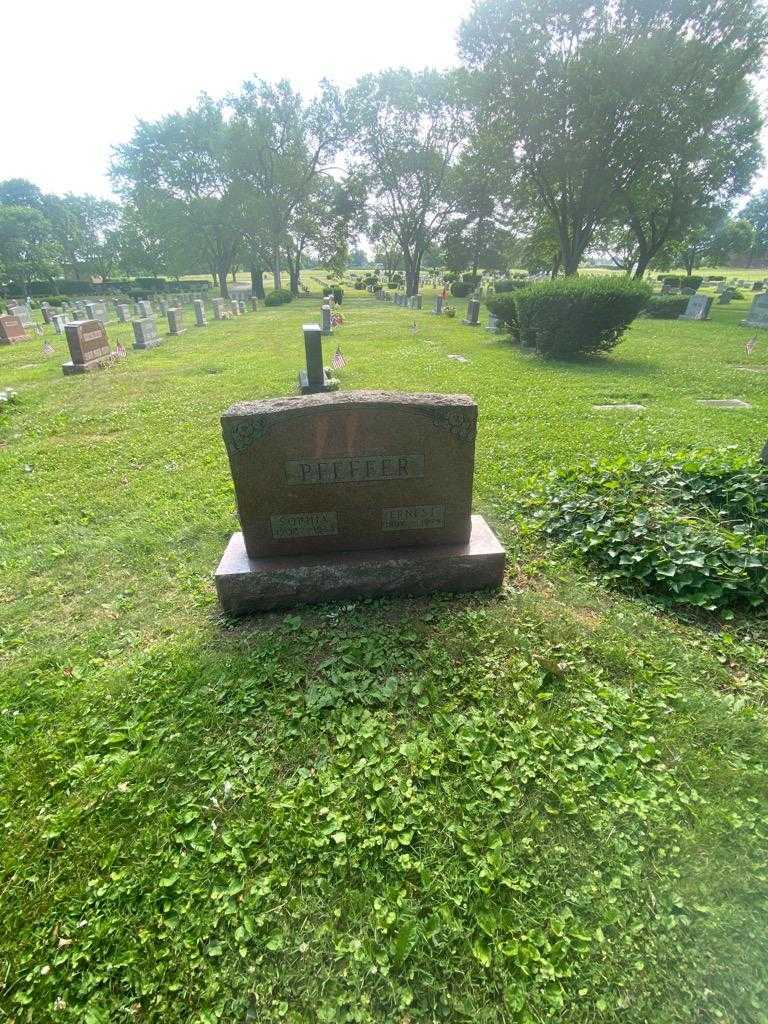 Ernest Pfeffer's grave. Photo 3