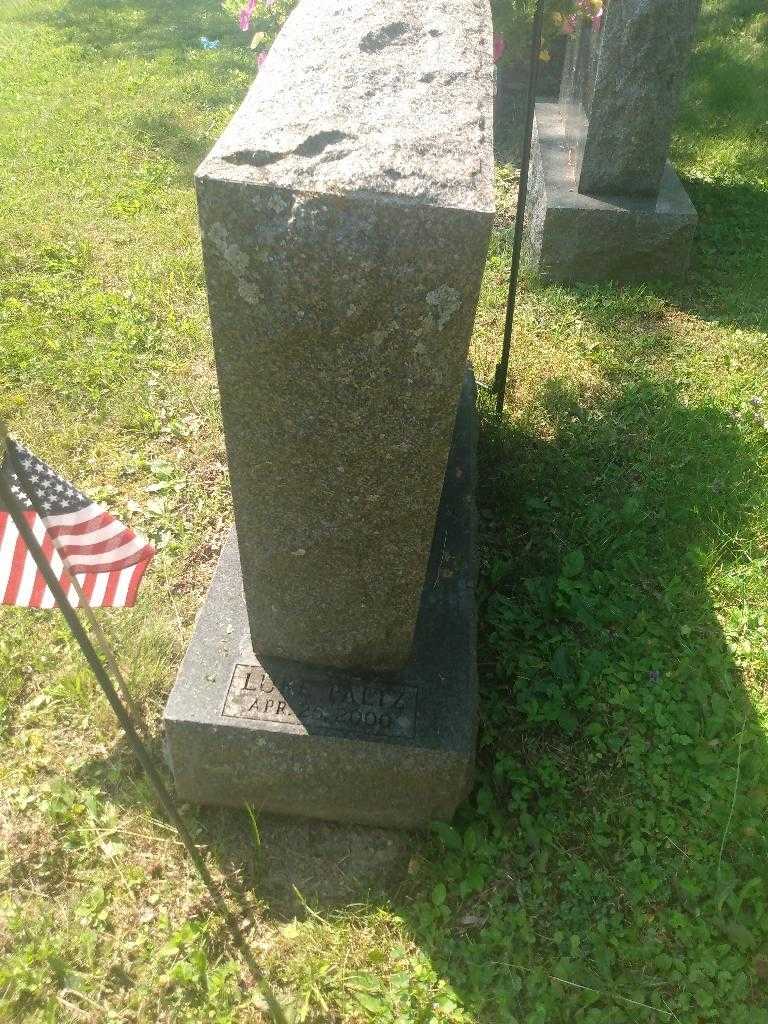 Luke Paltz McDonald's grave. Photo 3