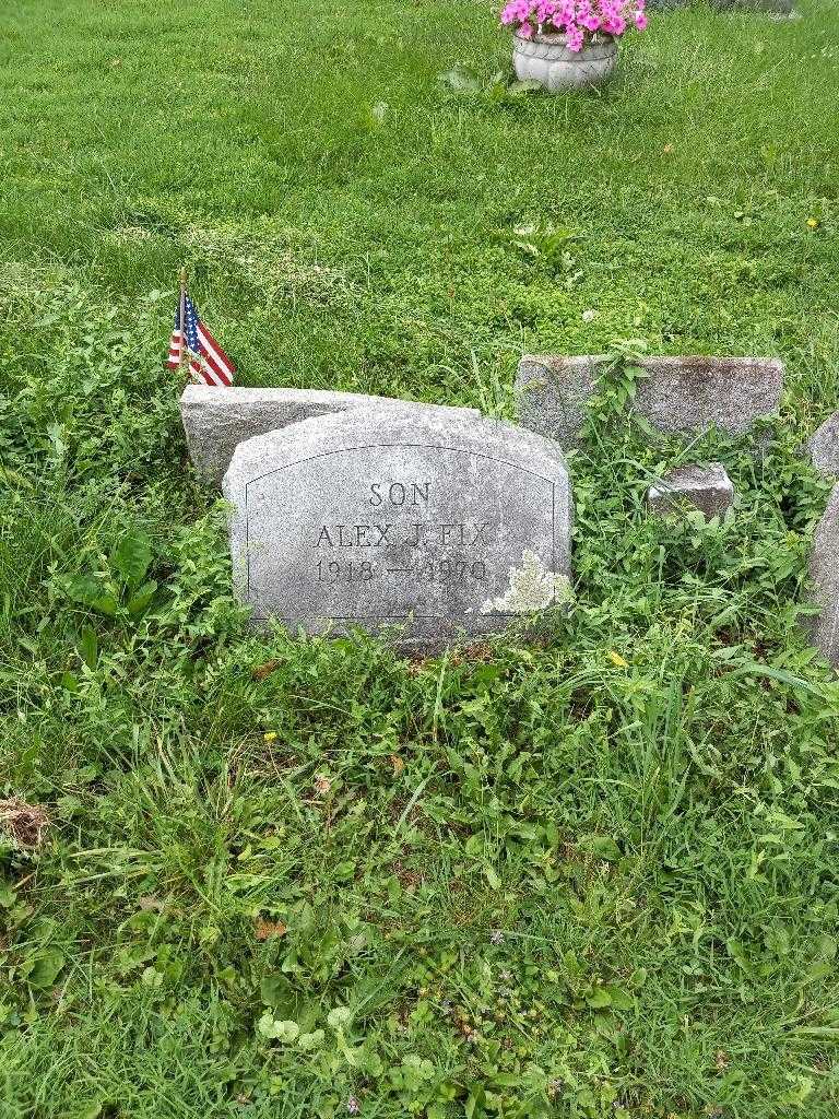 Alexander J. "Alex" Fix Junior's grave. Photo 2