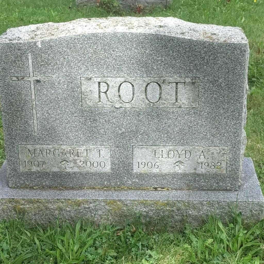 Lloyd A. Root's grave. Photo 3