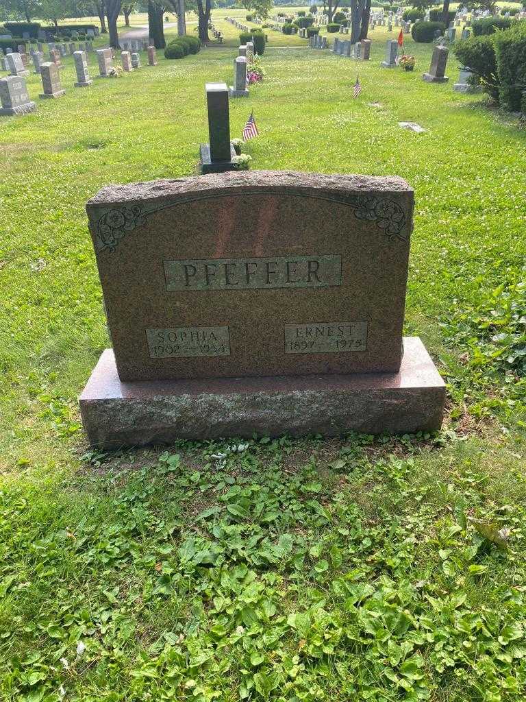 Ernest Pfeffer's grave. Photo 2