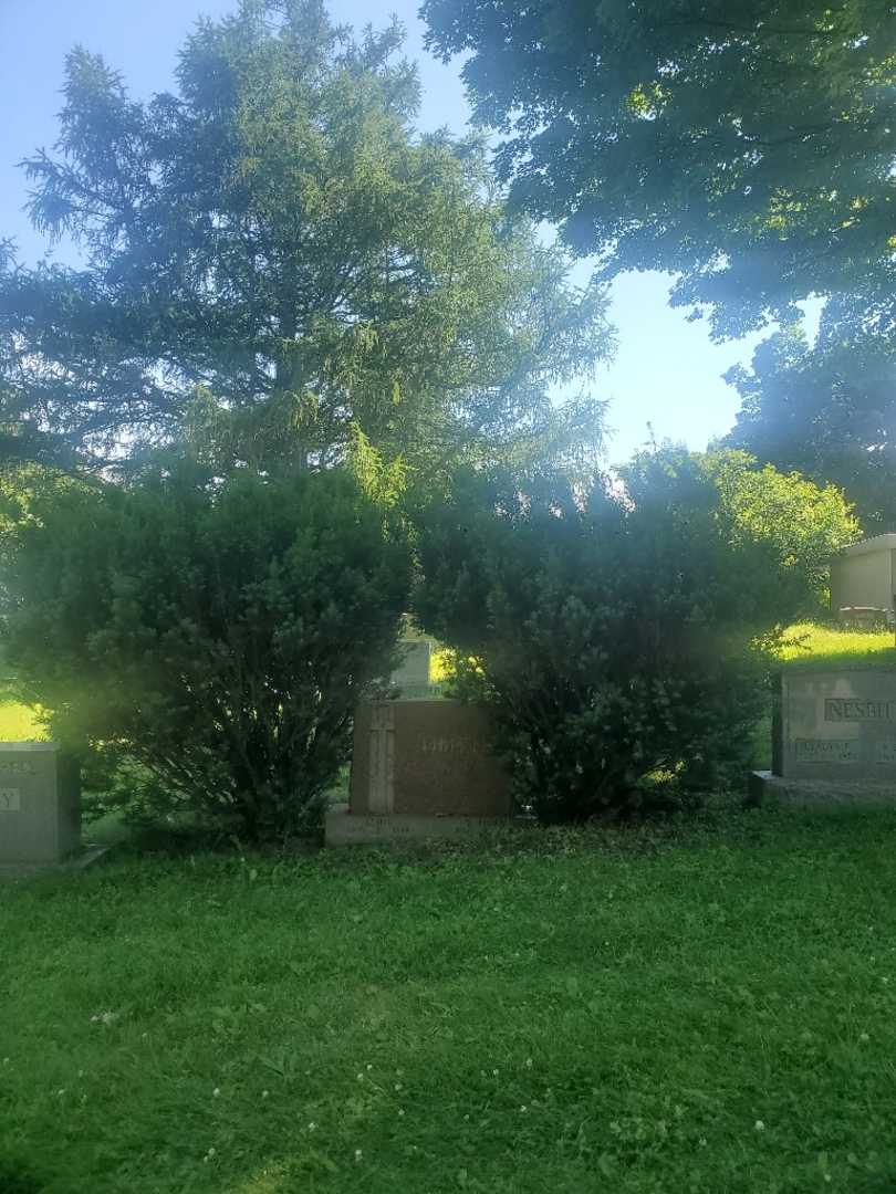 William James Tibitts's grave. Photo 1