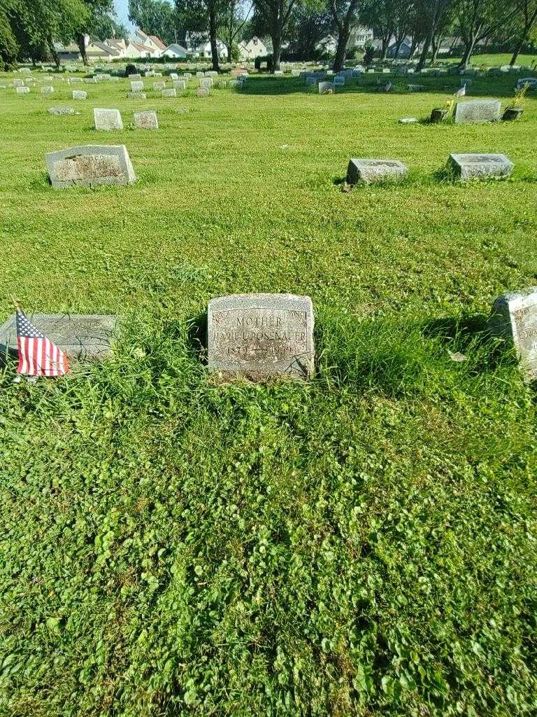 Marie L. Posenauer's grave. Photo 1