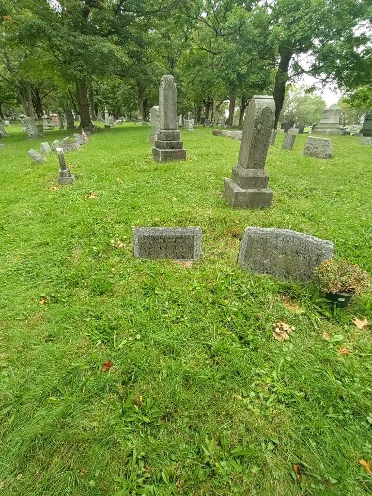 Anna Elizabeth Schneider's grave. Photo 1