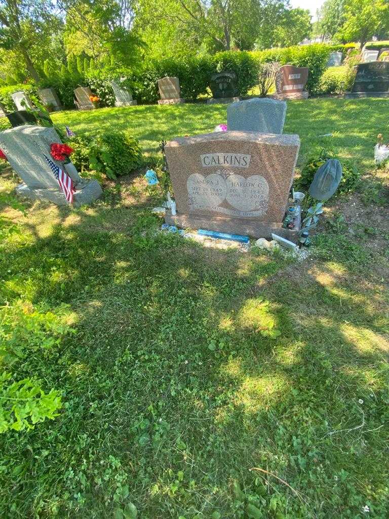 Harlow G. Calkins's grave. Photo 1