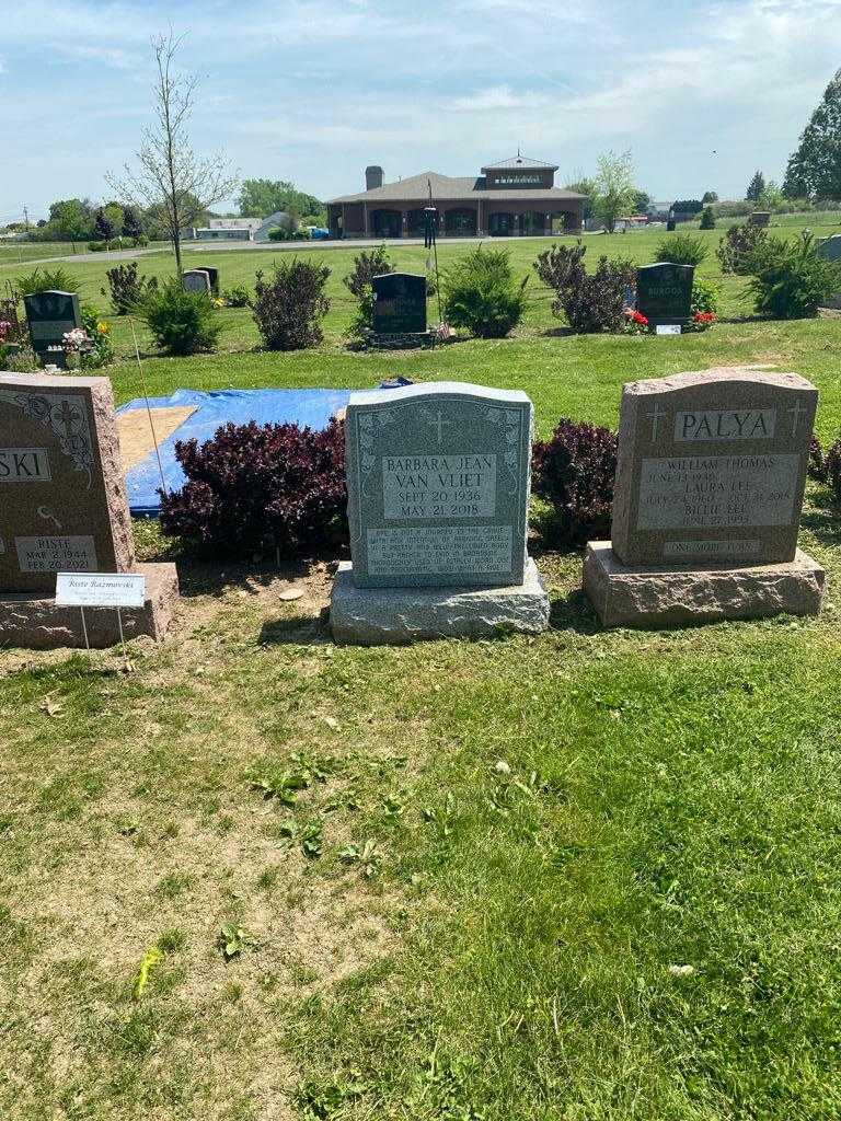 Barbara Jean Van Vliet's grave. Photo 1