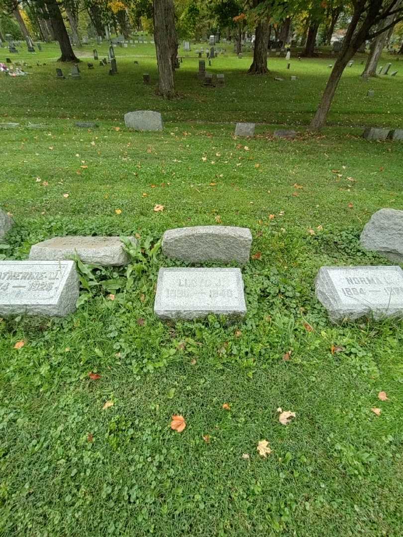 Lloyd J. Richardson Senior's grave. Photo 1