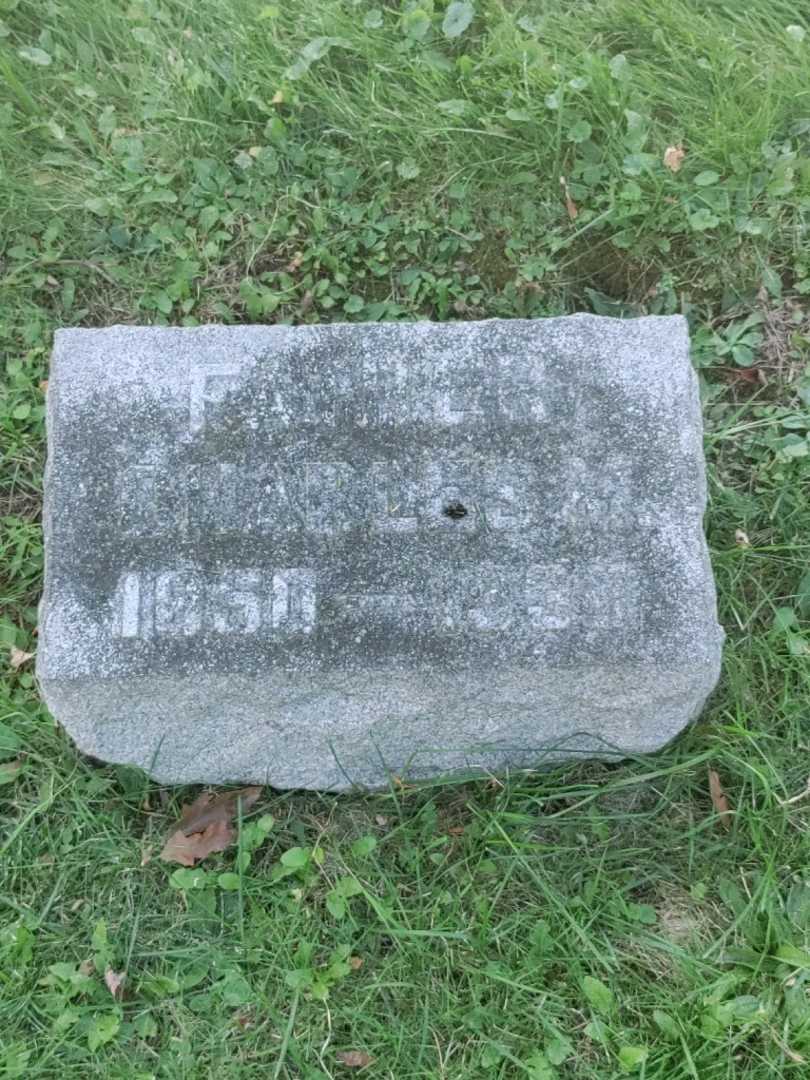 Charles M. Fesenmeyer's grave. Photo 3