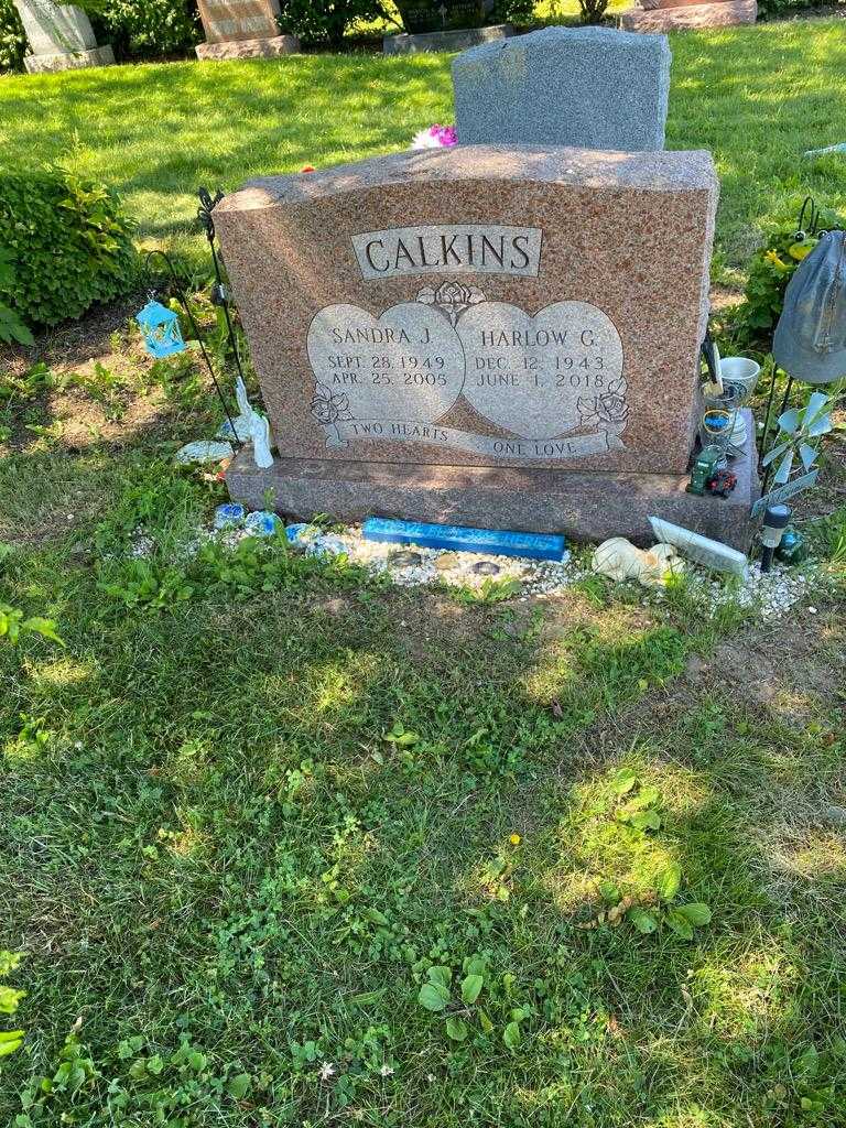 Harlow G. Calkins's grave. Photo 2