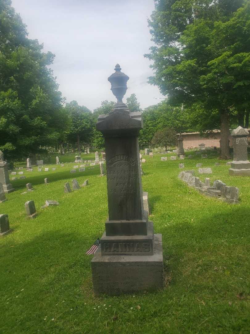William W. Hannas's grave. Photo 2