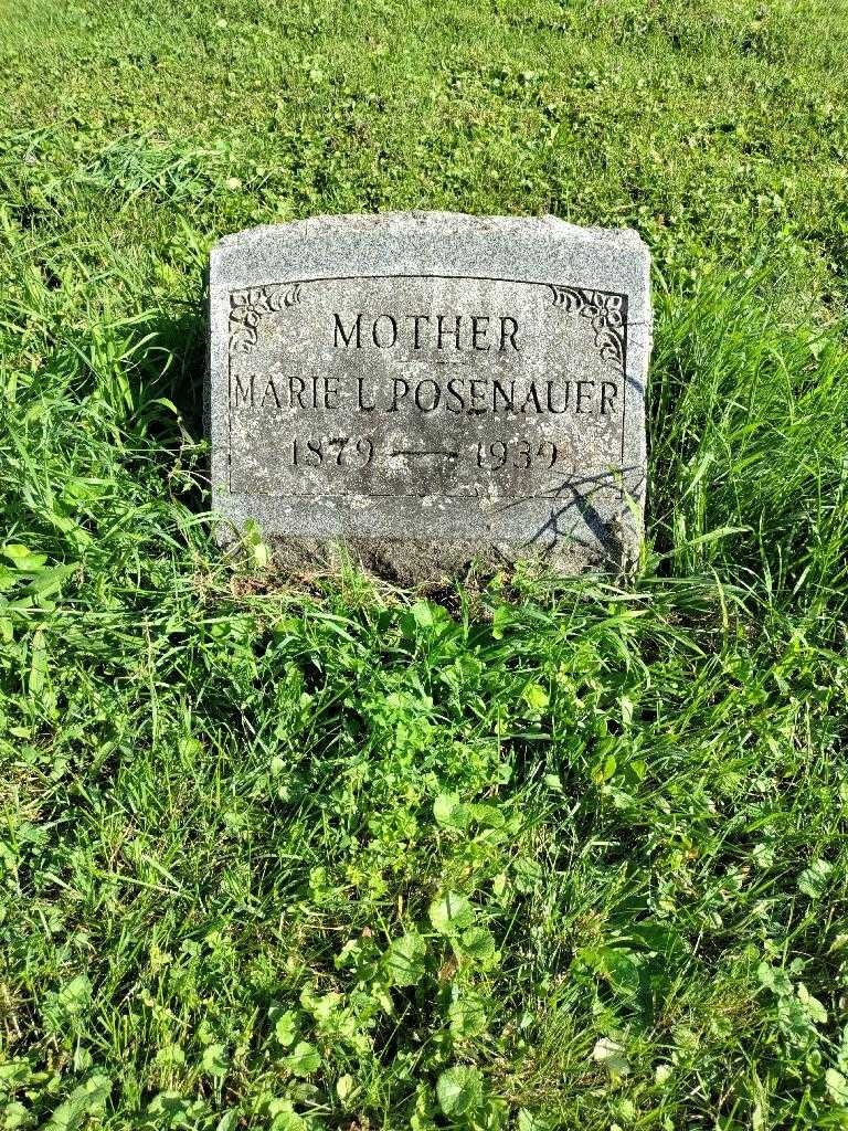 Marie L. Posenauer's grave. Photo 2