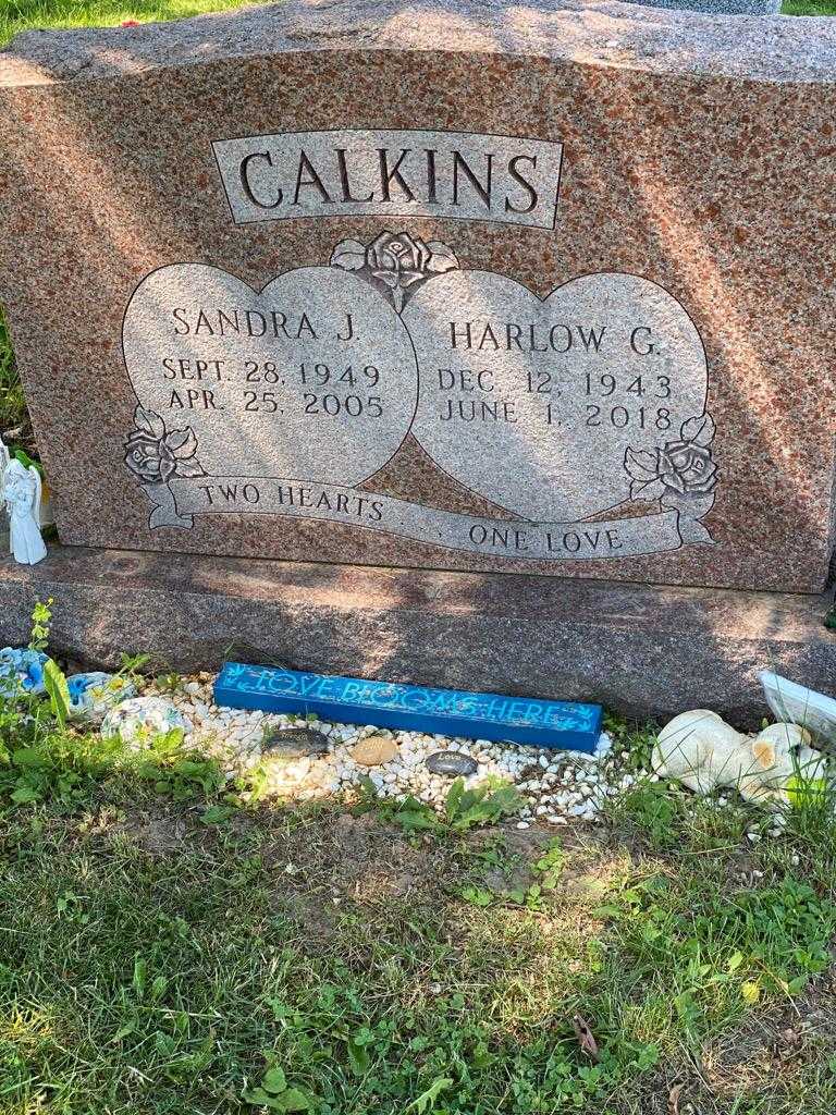 Harlow G. Calkins's grave. Photo 3
