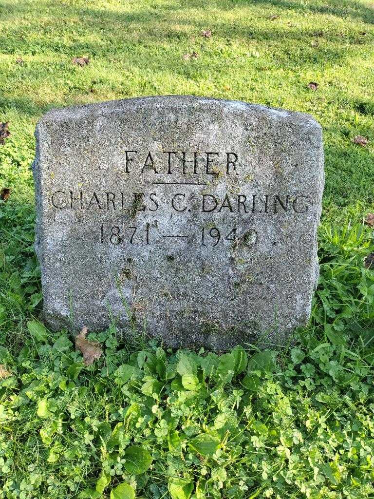 Charles C. Darling's grave. Photo 2