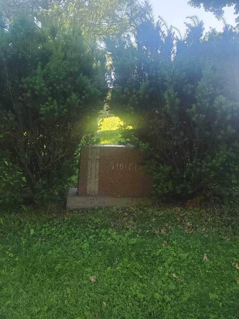 William James Tibitts's grave. Photo 2
