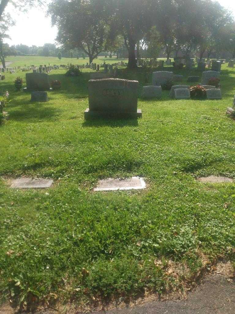 George Levy's grave. Photo 2