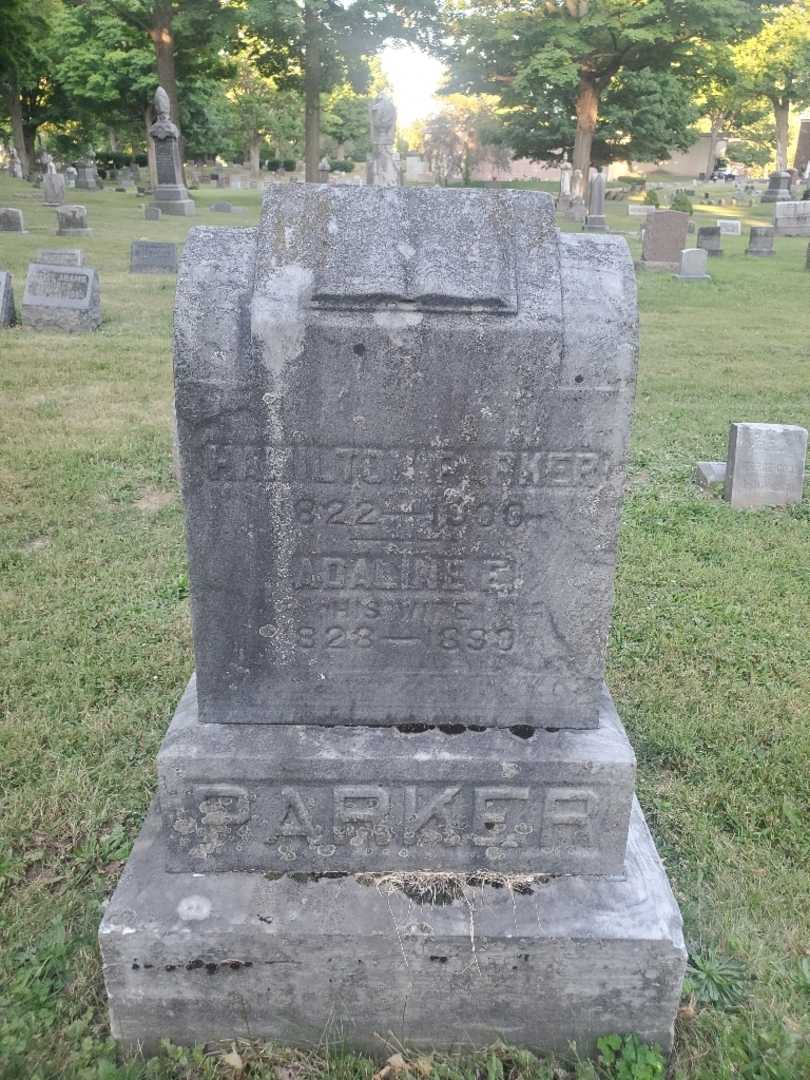 Hamilton Parker's grave. Photo 3