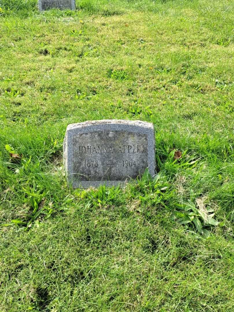 Johanna Applin's grave. Photo 2