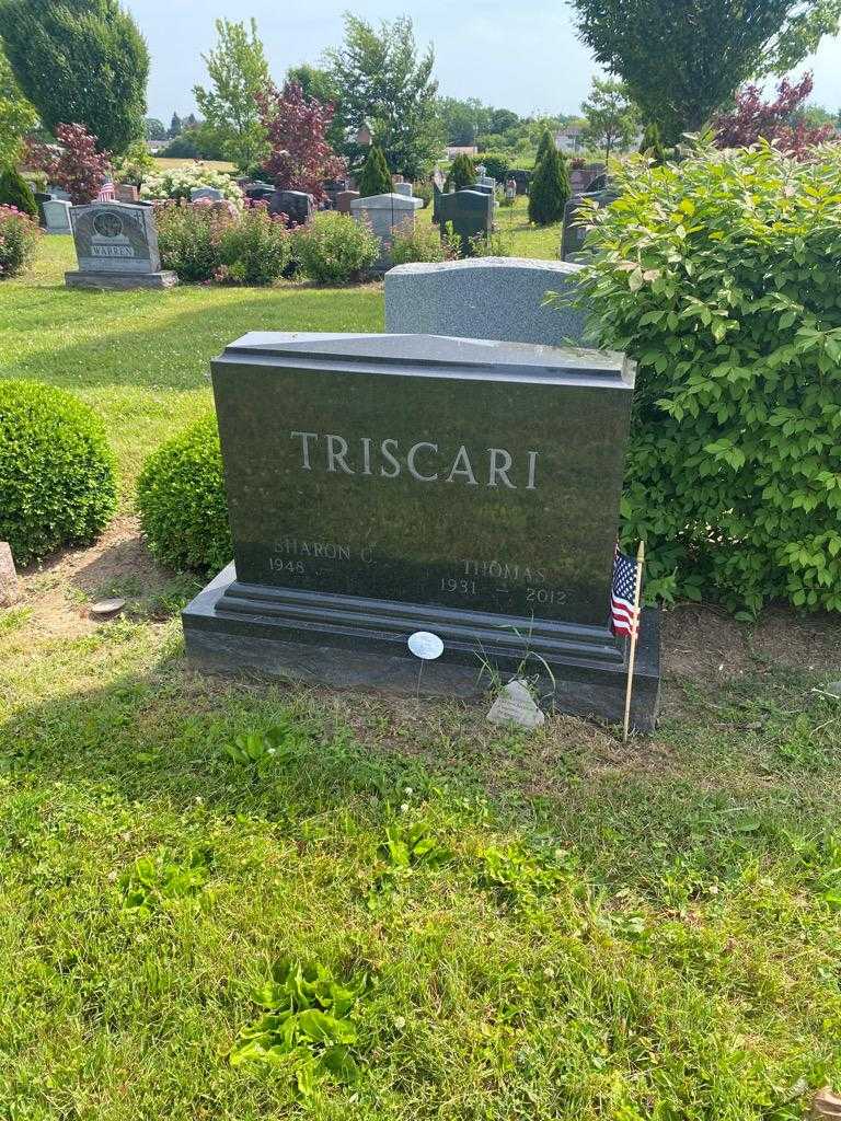 Thomas Triscari's grave. Photo 2