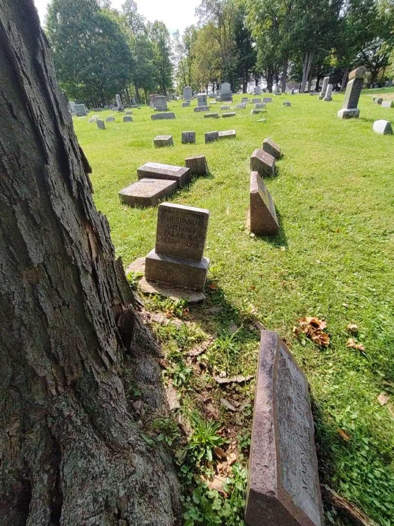 Anthony Falaska's grave. Photo 1