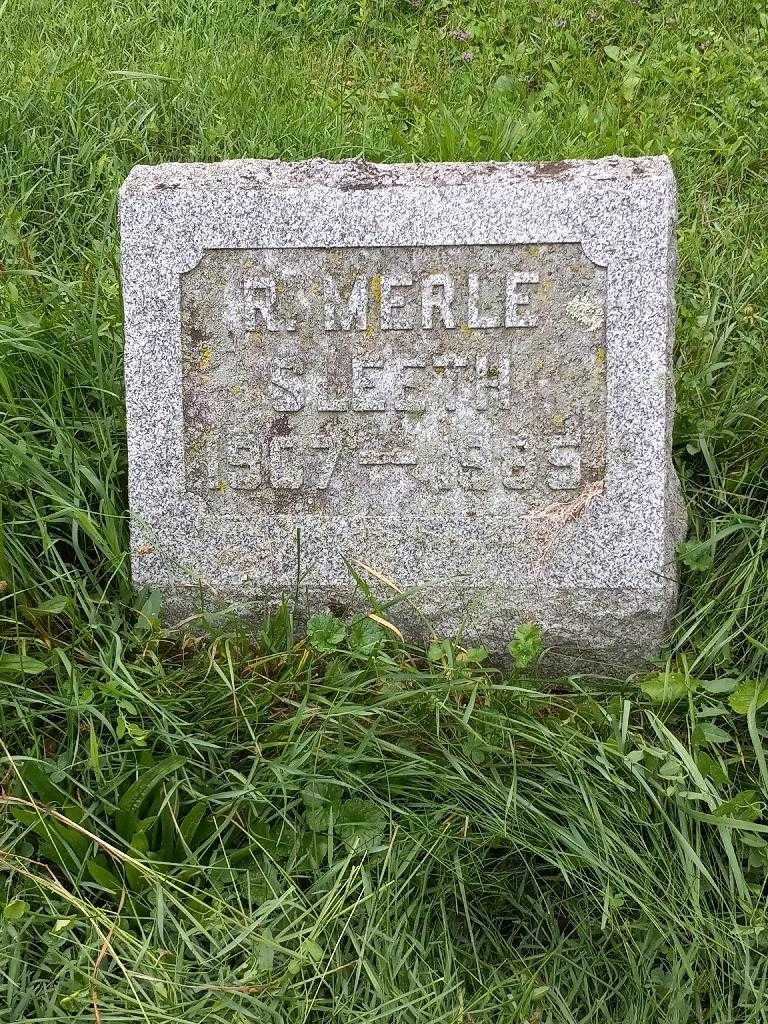 Robert Merle Sleeth's grave. Photo 2