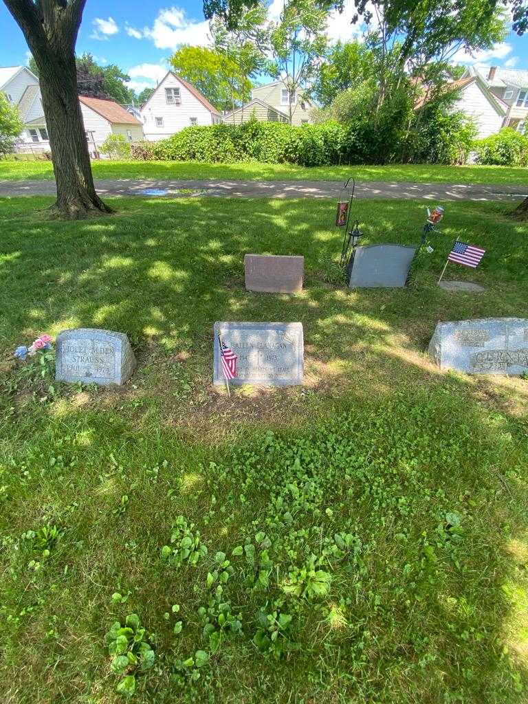 Allen J. Flanagan's grave. Photo 1