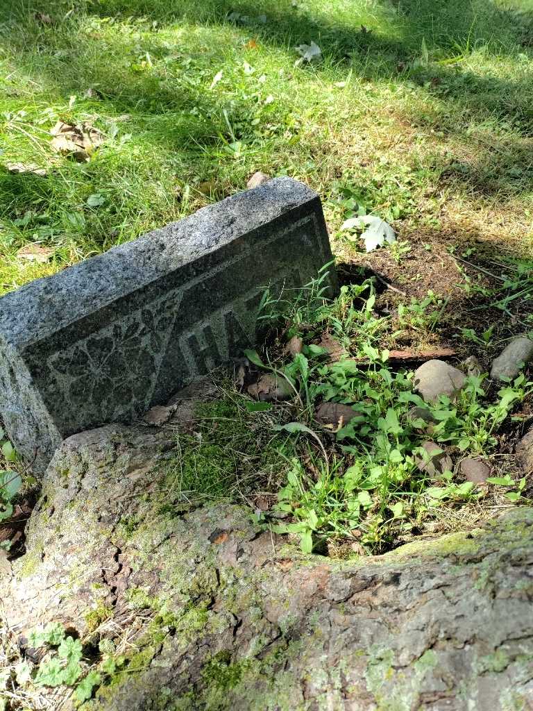 Hazel G. Schulz's grave. Photo 3