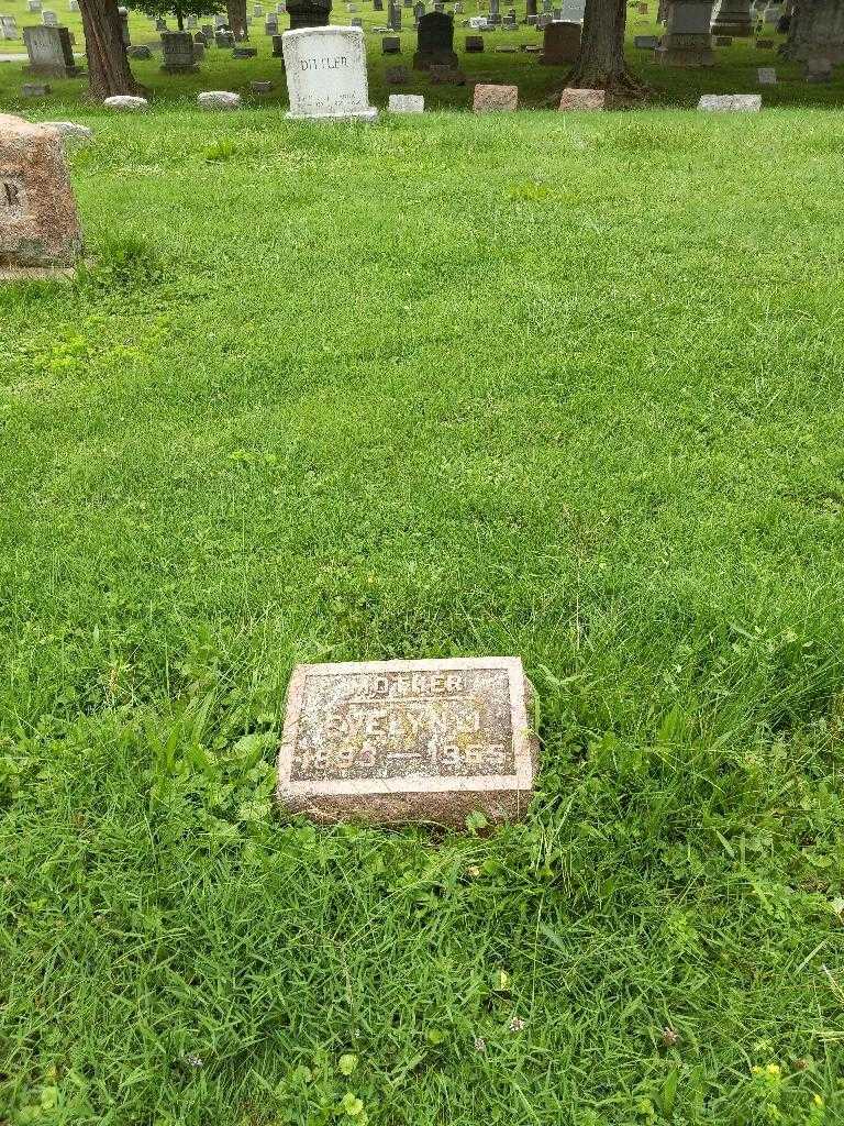 Evelyn J. Metzger's grave. Photo 3