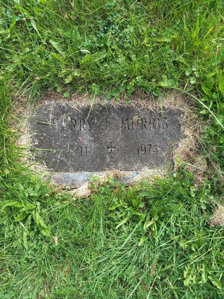 Harry J. Morris's grave. Photo 1