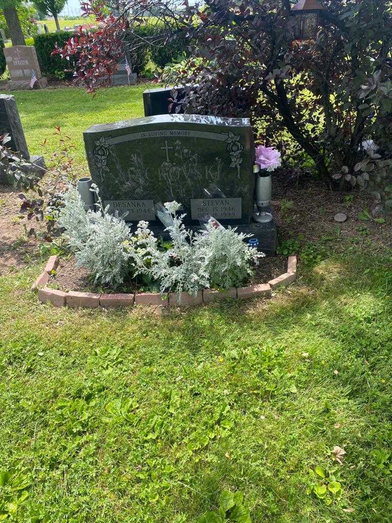 Stevan Mackovski's grave. Photo 2