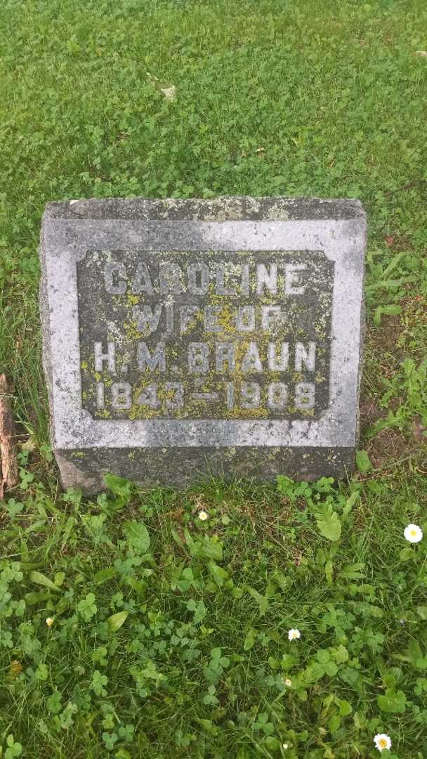Edwin C. Brown's grave. Photo 1