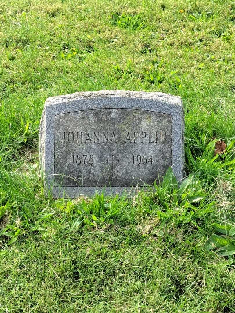 Johanna Applin's grave. Photo 3