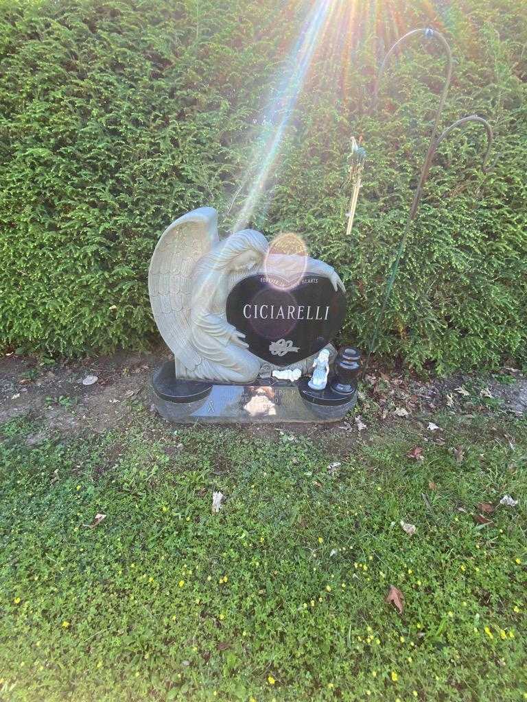 Judy L. "Judy girl" Ciciarelli's grave. Photo 3