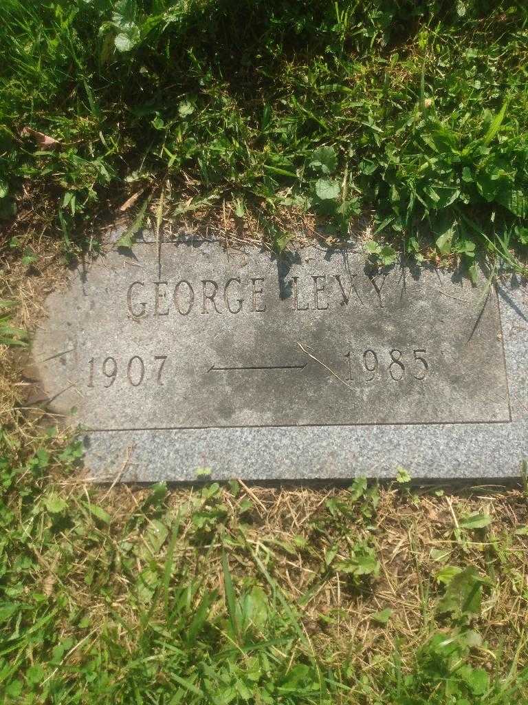 George Levy's grave. Photo 3