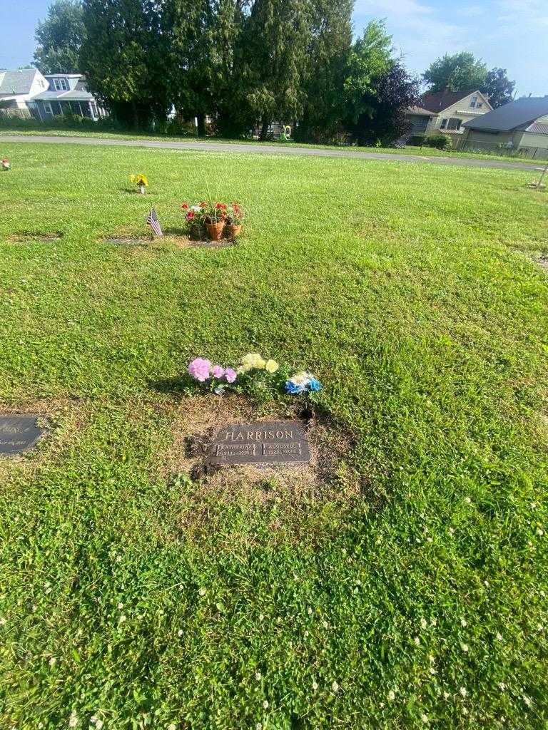 Augustus Harrison Senior's grave. Photo 1