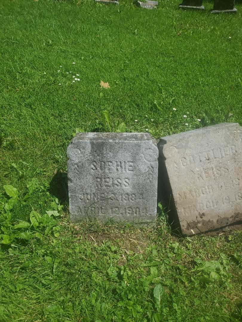 Sophie E. Reiss's grave. Photo 3
