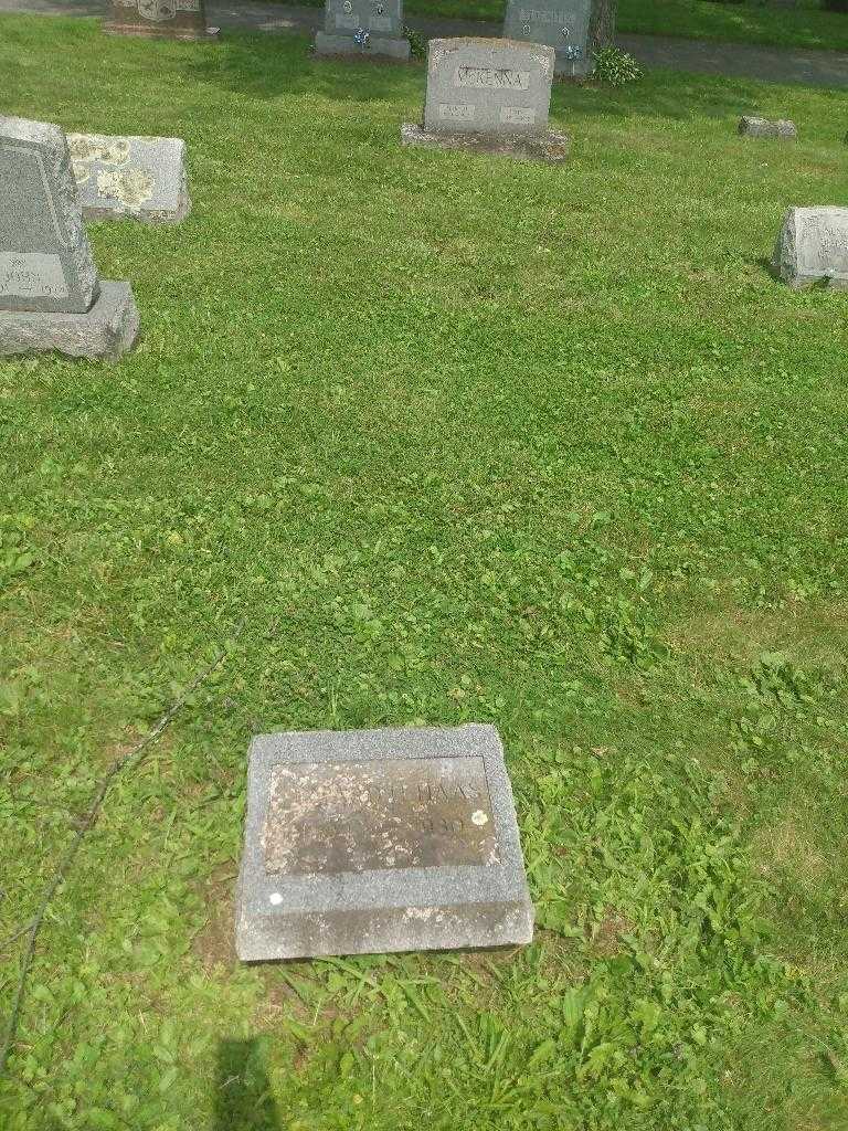 Edward H. Haas's grave. Photo 1