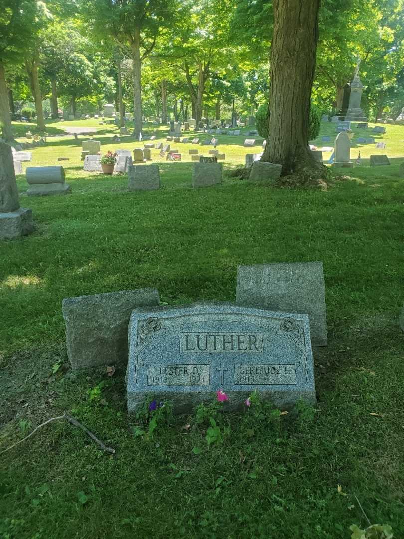 Lester D. Luther's grave. Photo 2