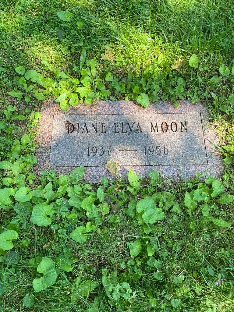 Diane Elya Moon's grave. Photo 2