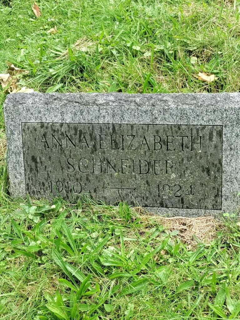 Anna Elizabeth Schneider's grave. Photo 3