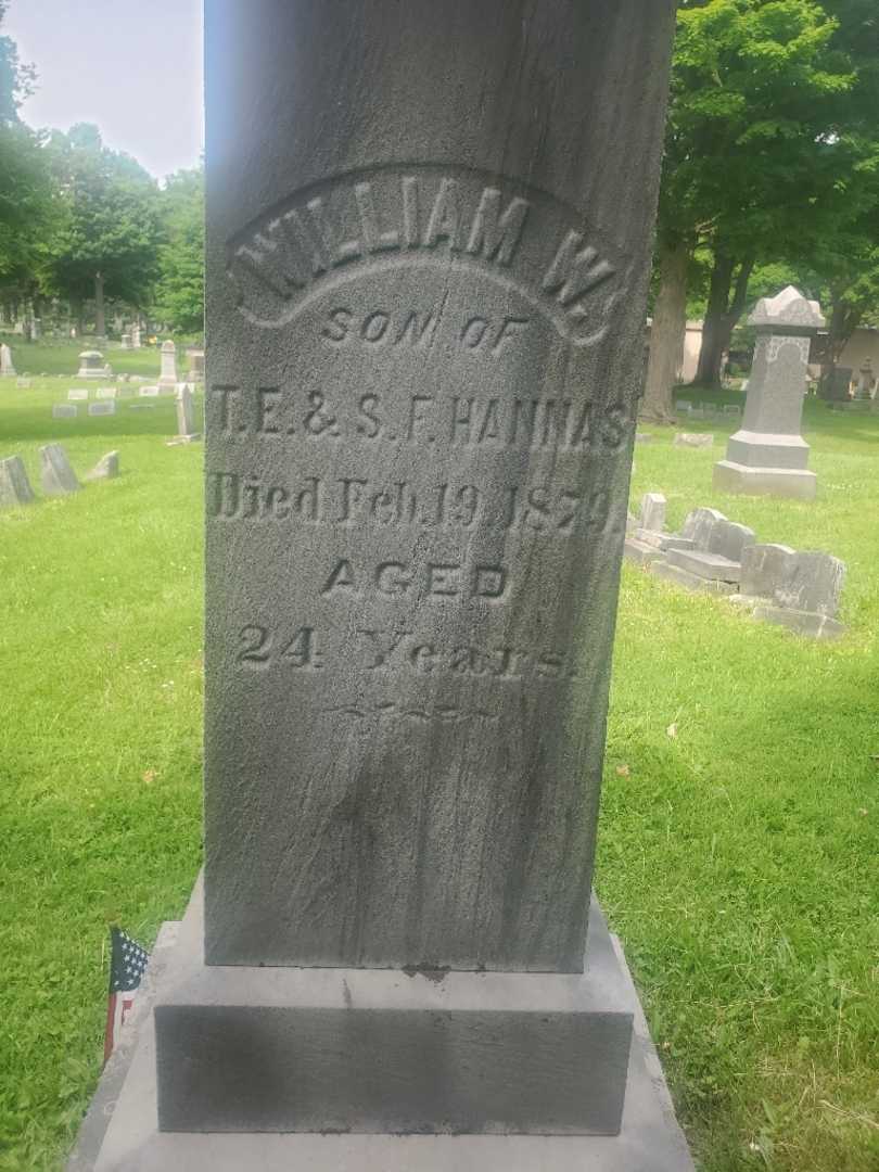 William W. Hannas's grave. Photo 4